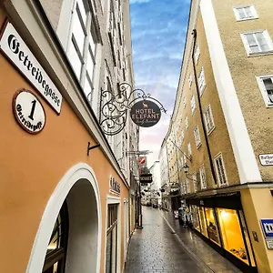 Elefant Family Business ** Salzburgo